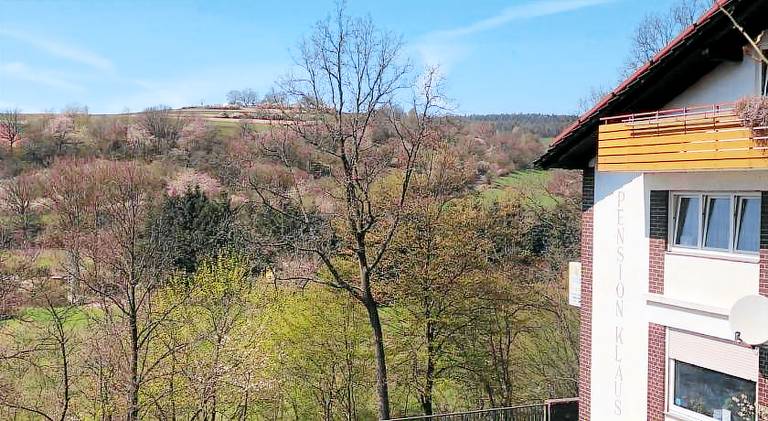 Pension Klaus in Fulda