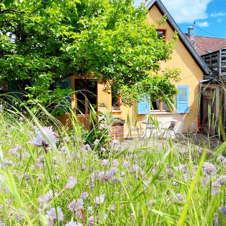 Appartement Ingersheim