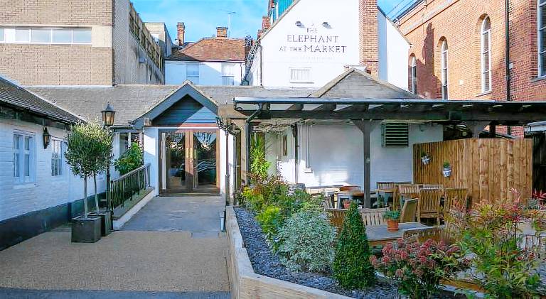 The Elephant at the Market