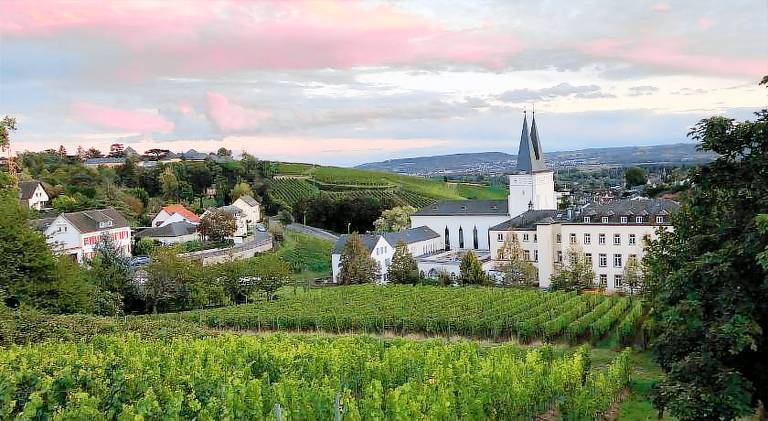 Holiday apartment | Pet-friendly in Geisenheim
