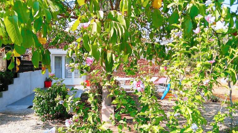 Ferienhaus in Gonfaron f&uuml;r max. 4 Personen, 