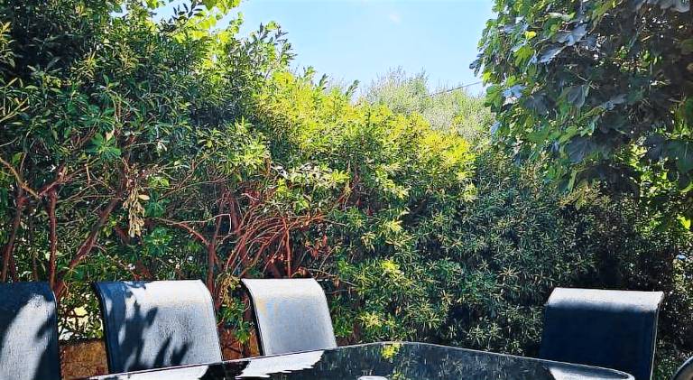 Apartment with grill, patio & yard — photo 4