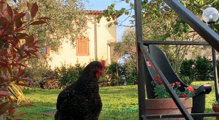 Holiday apartment | Pet-friendly — photo 5