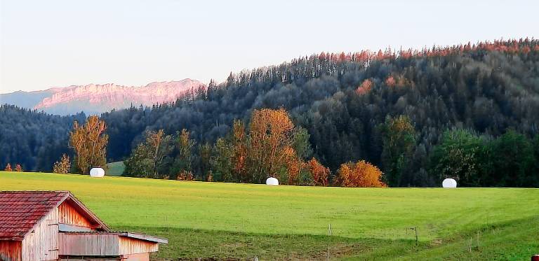 foto4