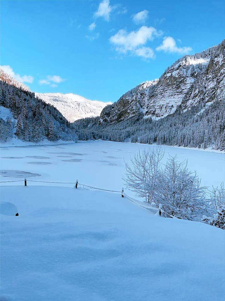 Appartement Montriond