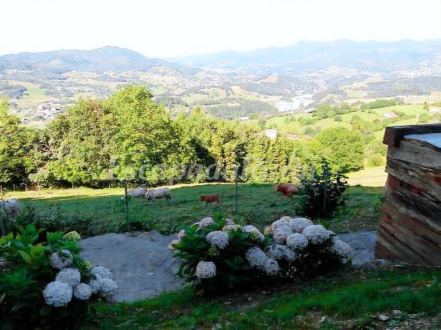 foto9