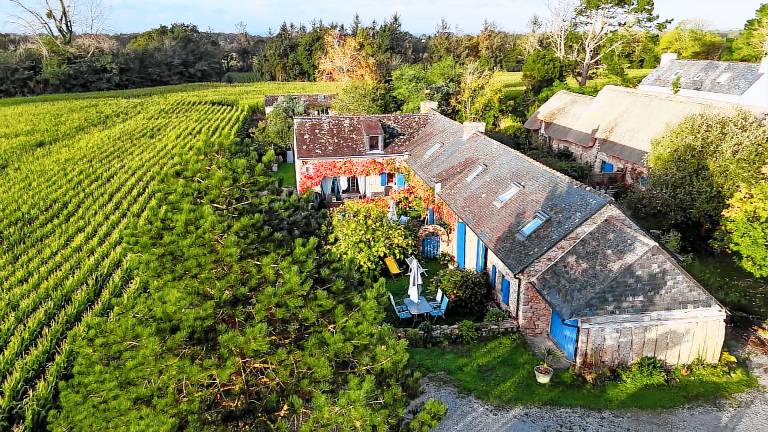 Le Petit Gîte — photo 3
