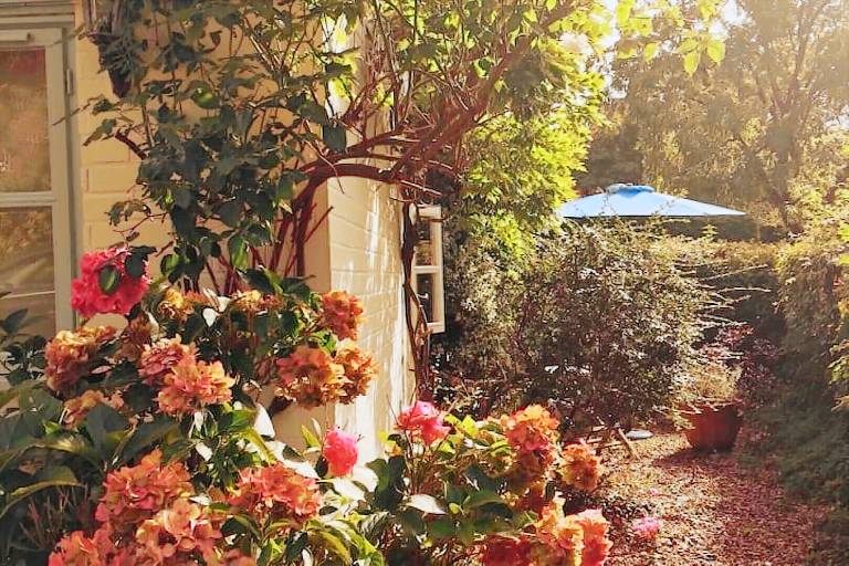 Cottage Aylsham