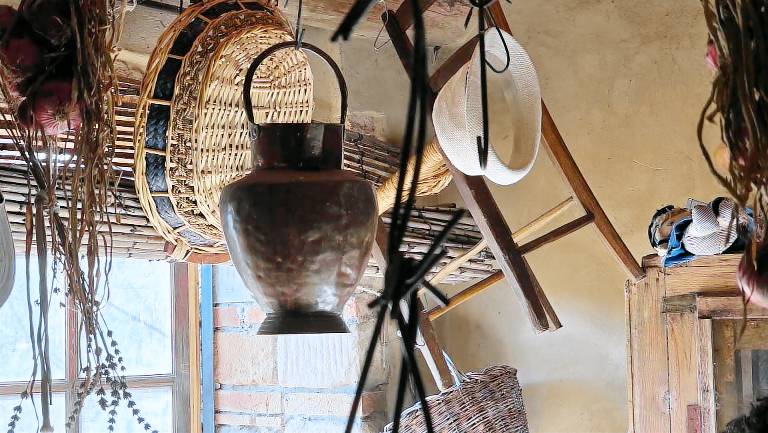 Podere la Casellina - un vero agriturismo familiare: Struttura intera — photo 5