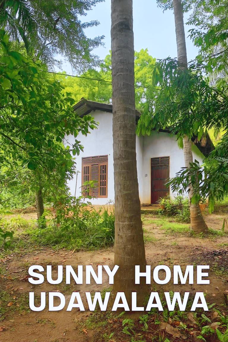 Nice vacation home | Pets are welcome — photo 3