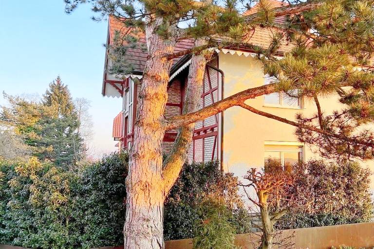 Villa  Dingelsdorf