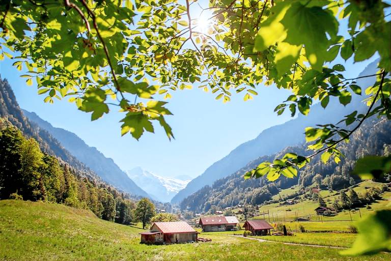 Ferienhaus Wengen BE