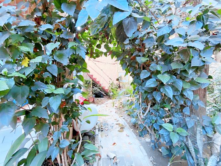Casa Amistad — photo 4