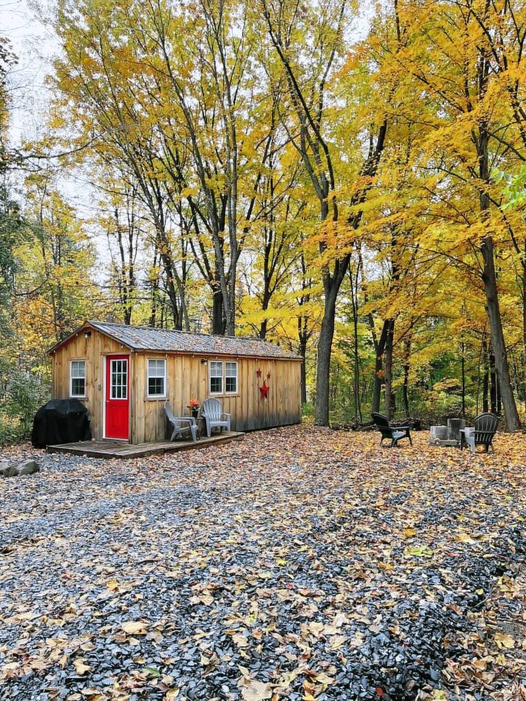 Cabin Highgate