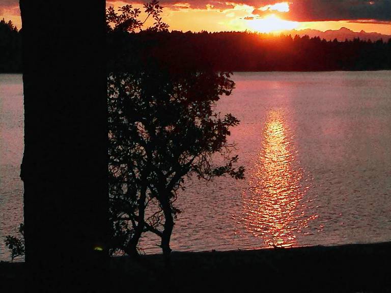 House Lakebay