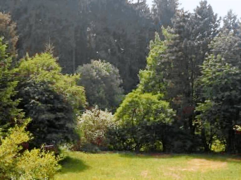 House with grill, terrace & garden | Nature view | Pets are welcome — photo 2