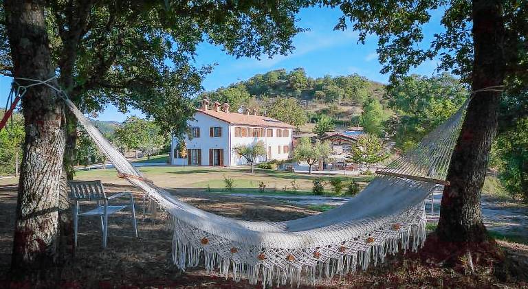 Agriturismo Il Beccafico Alpaca — photo 4