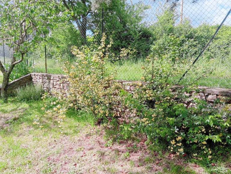 Rental apartment with yard, patio & BBQ | Garden view — photo 2