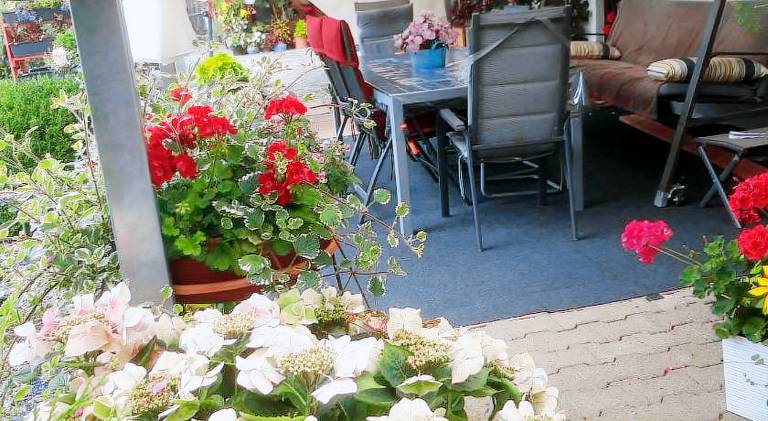 Holiday apartment | Dogs allowed — photo 2