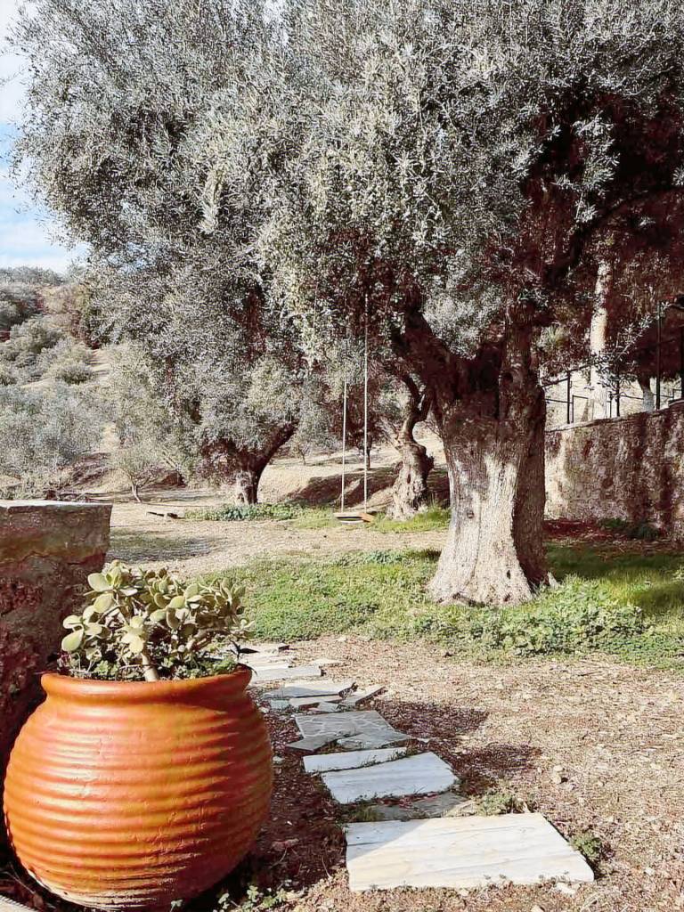 σπίτι Αιγείρα