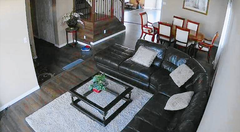 Vacation home with jacuzzi | Pets are welcome — photo 4