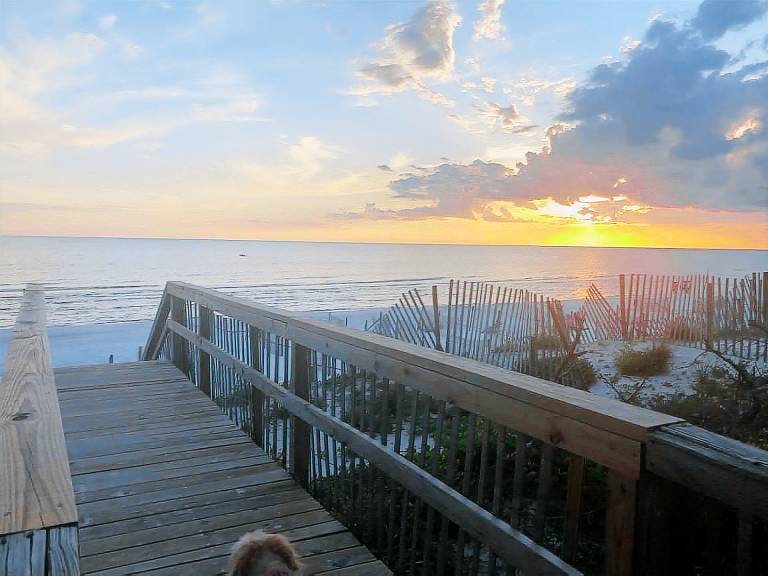 House Cape San Blas