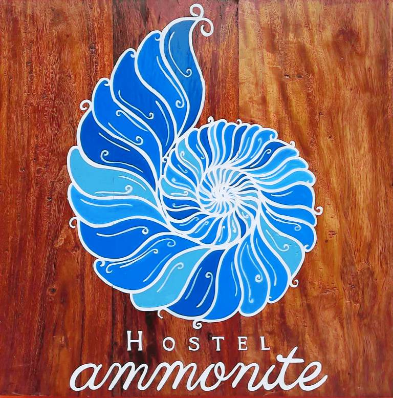 Ammonite Hostel - Itacare — photo 3