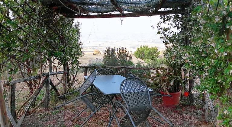 Farm with barbeque & garden — photo 3