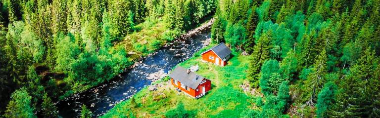 Forest cabin by the river — photo 2
