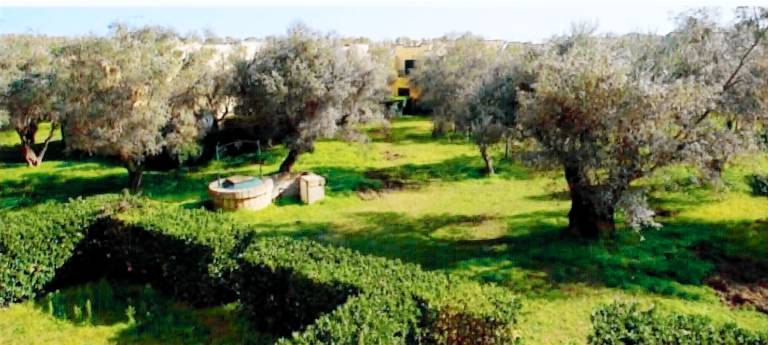 Appartamento vacanza Sant'Andrea apostolo dello Ionio