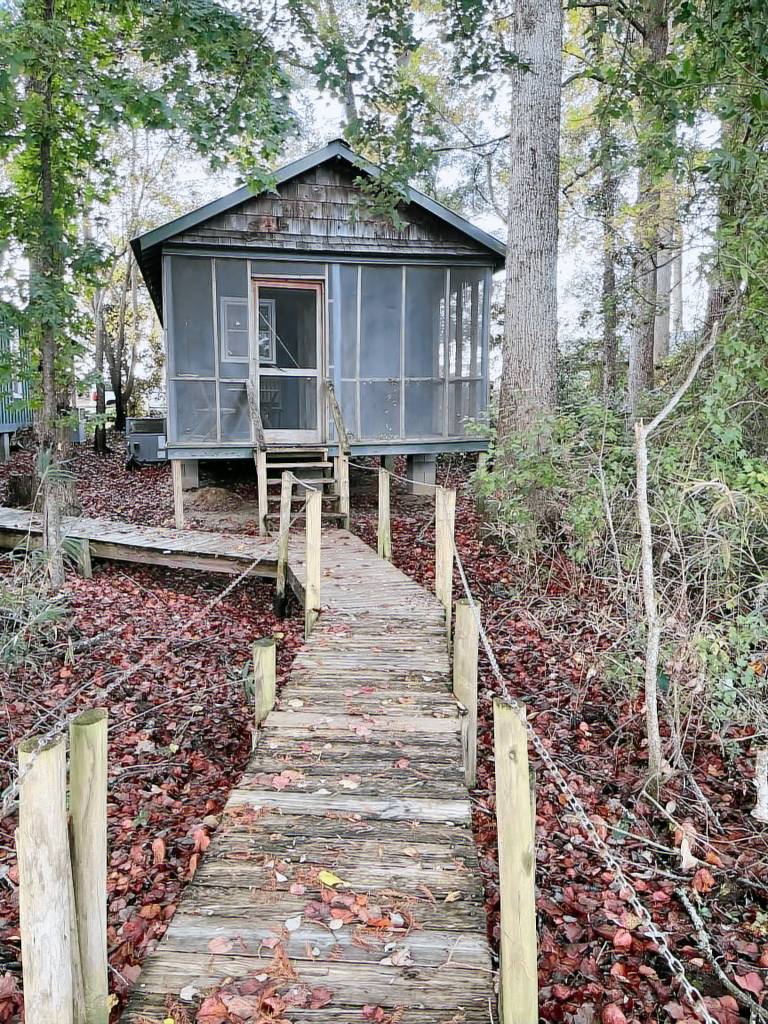 Cabin  Moultrie