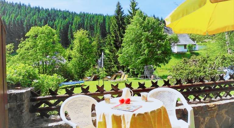 Charming serviced apartment with yard, barbeque & patio | Pets allowed — photo 5