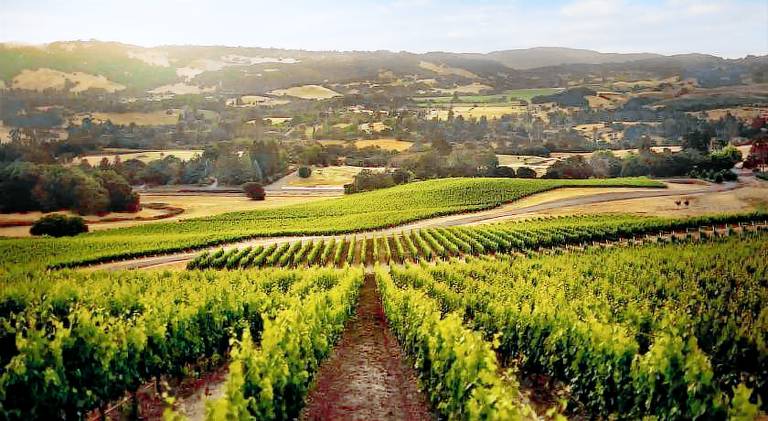 House with 6 rooms for 14 persons in Sonoma, CA
