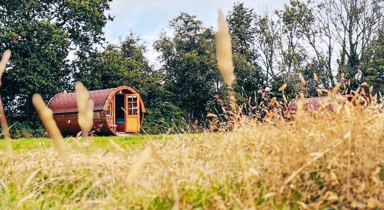 Barrel Cabin 1 in St. Austell