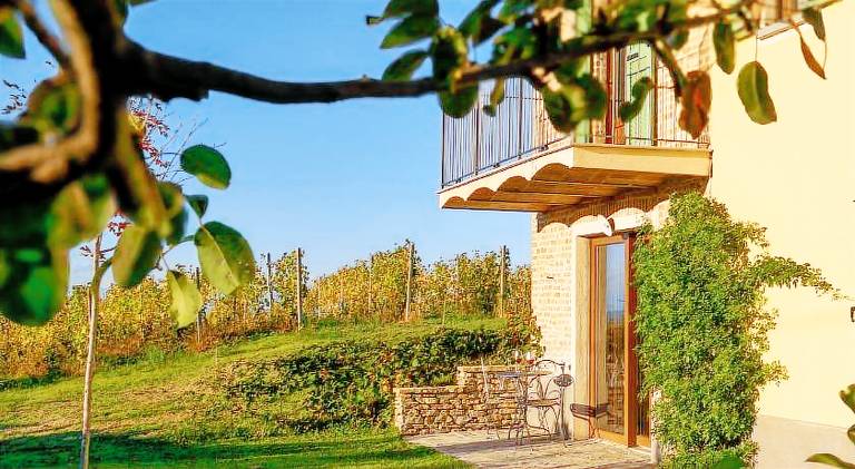 Cascina Romanino in Neive