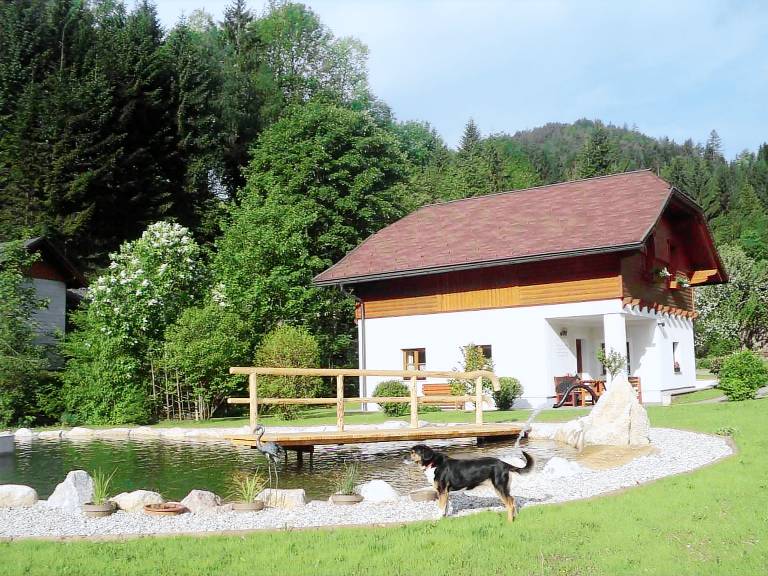 Ferienhaus Eisenwiesen