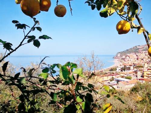 Appartamento Gioiosa Marea