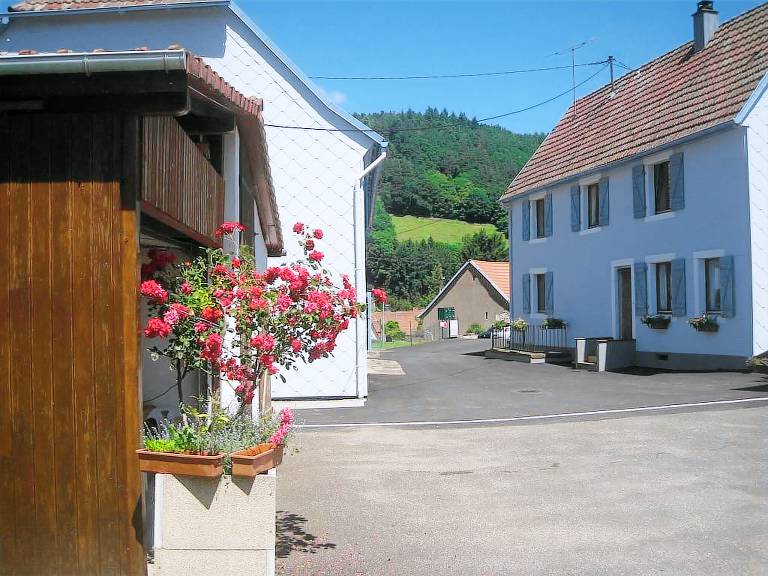 Appartement Lapoutroie