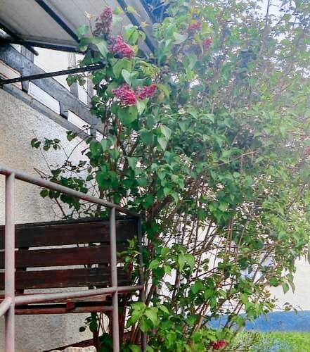 Ferienwohnung Bad Schwalbach