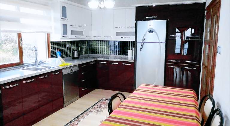 Trabzon Gurbulakta kiralık villa — photo 3