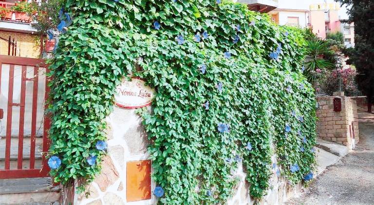 B&B Nonna Luisa — photo 2