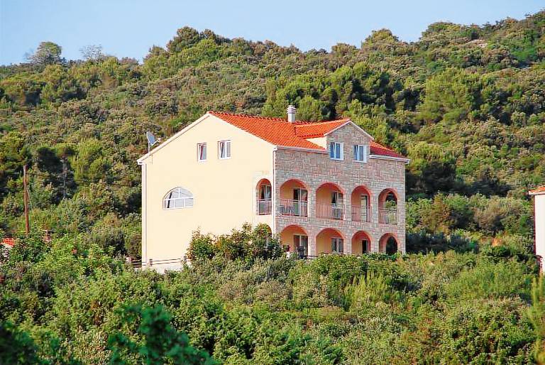 Apartman Maslinica