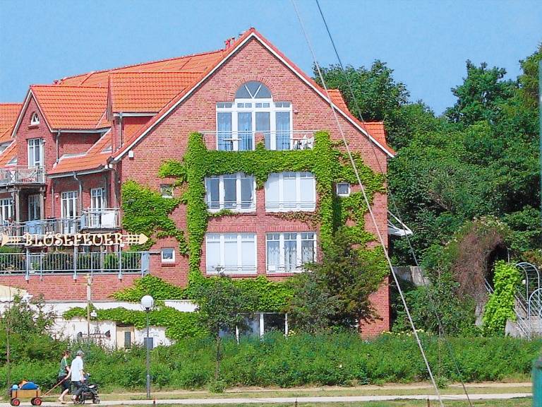 foto1