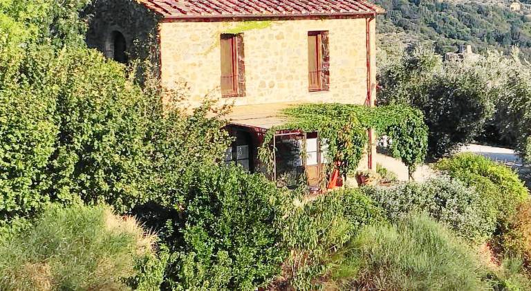 Farm with pool | Pet-friendly in Pistoia