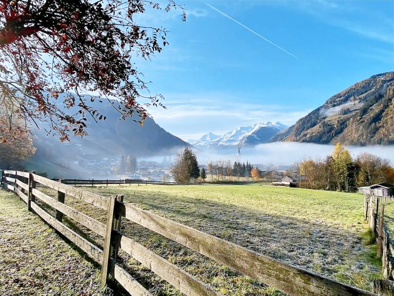 foto44