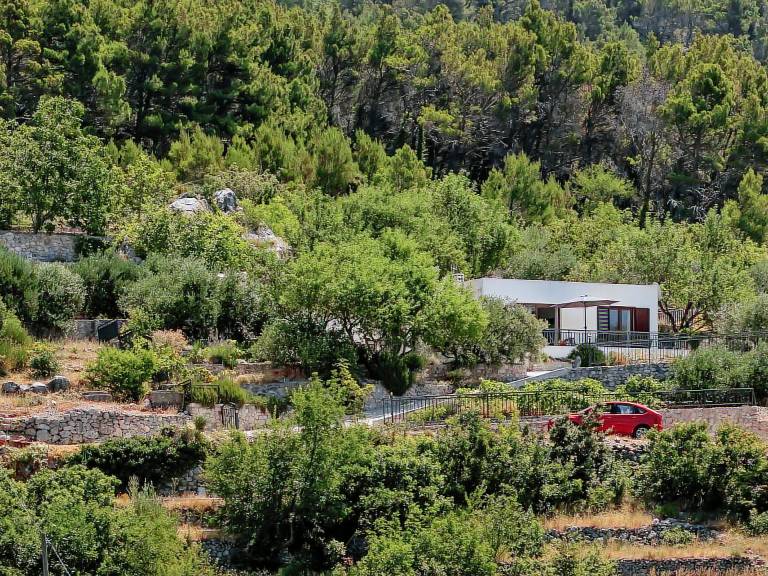 House with grill, yard & patio | Mountain view — photo 2