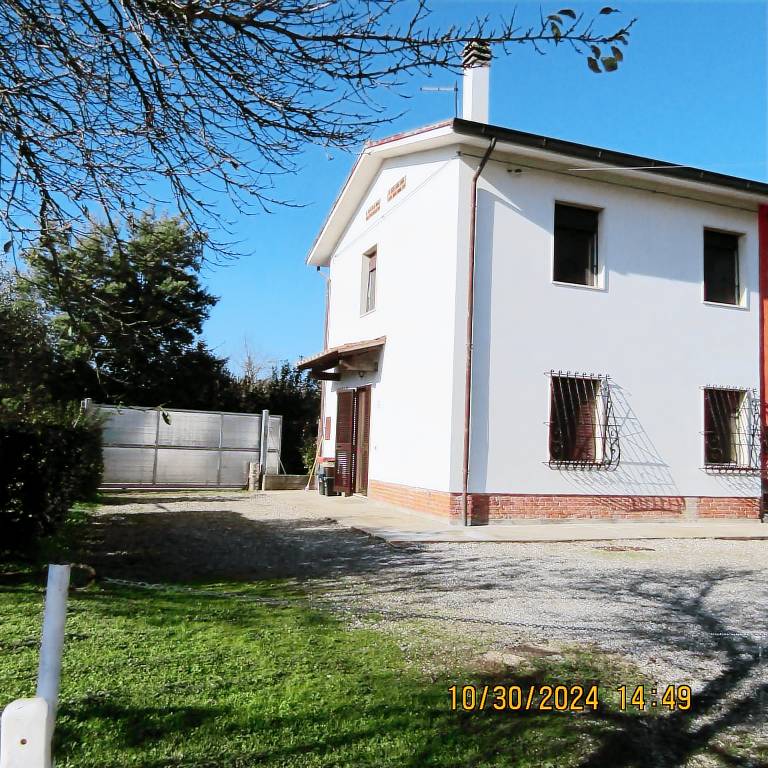 foto4