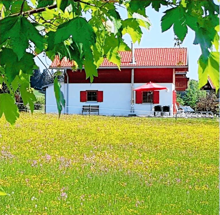 Ferienhaus Lechbruck am See