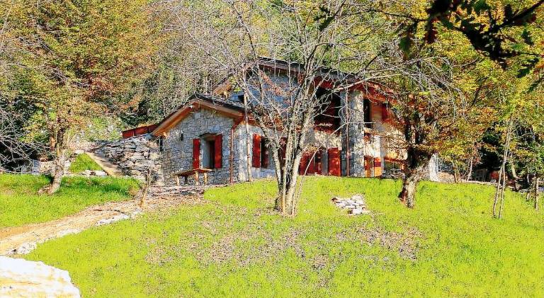 Charming farm with terrace, yard & sauna | Pets allowed in Valdobbiadene