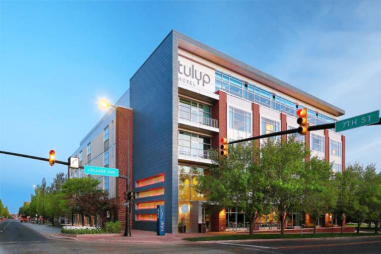 Tulyp, Tapestry Collection by Hilton in Holland, MI